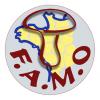 Logo famo vrai 2