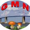 Logo g m n