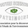 Nspsaumur